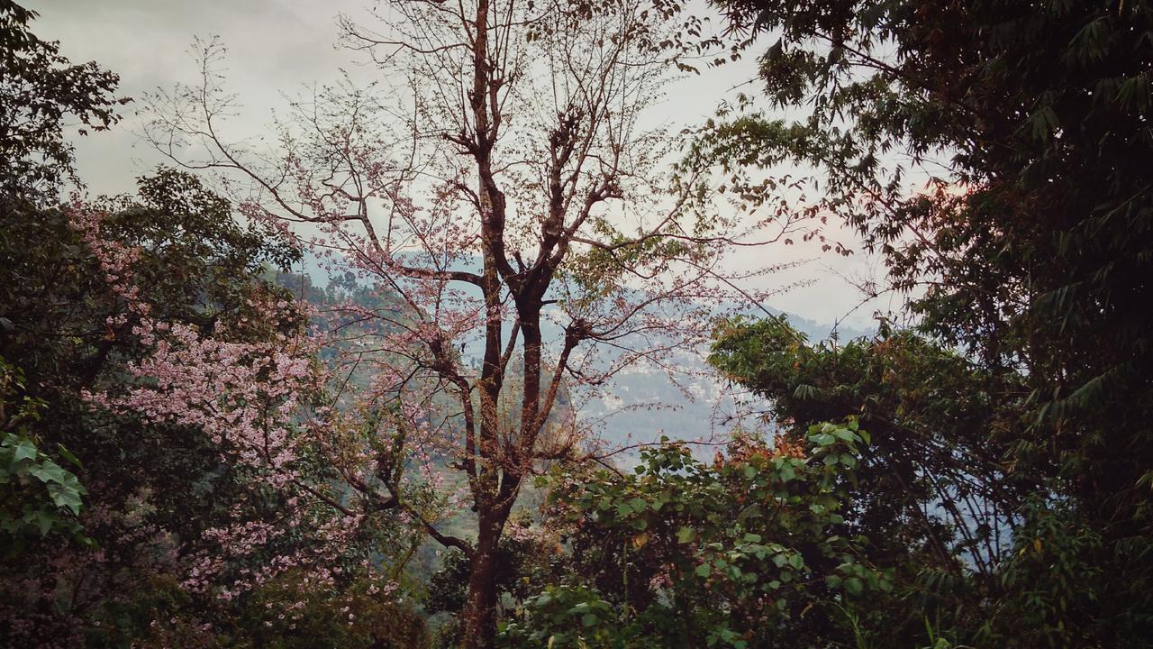 Enchanted Forest Farmstay Gangtok Exterior photo