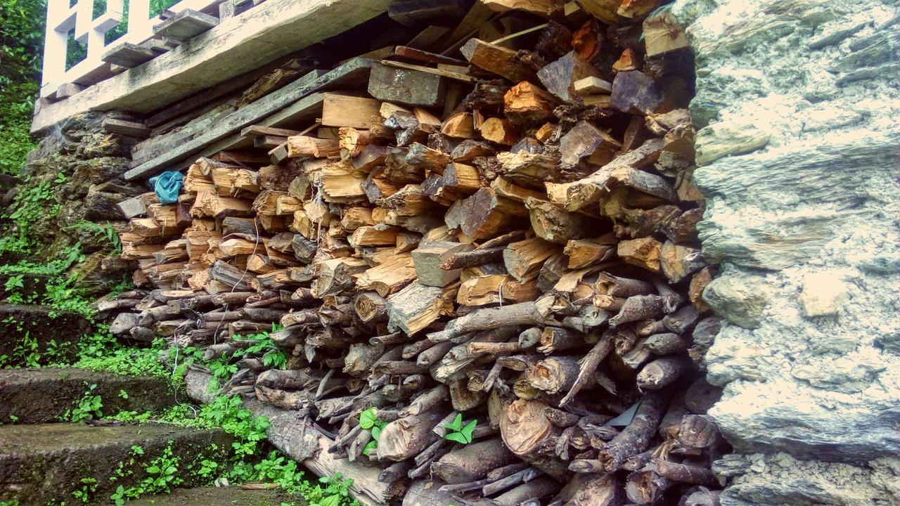 Enchanted Forest Farmstay Gangtok Exterior photo