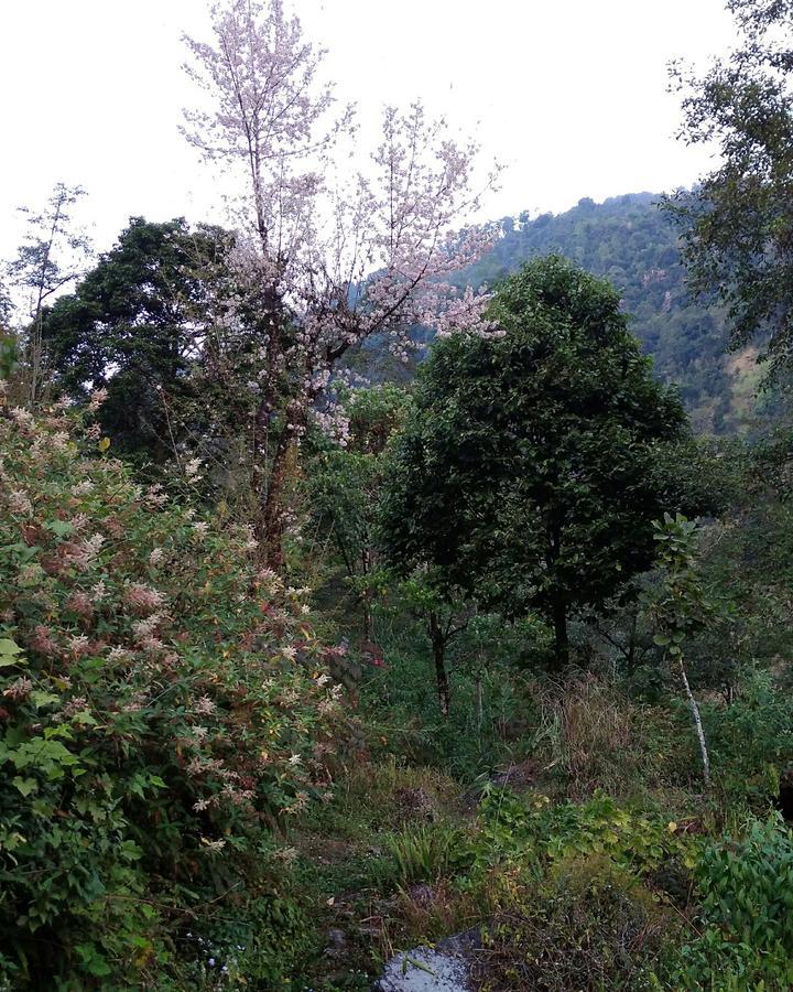 Enchanted Forest Farmstay Gangtok Exterior photo