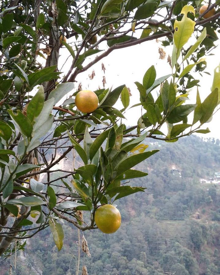 Enchanted Forest Farmstay Gangtok Exterior photo
