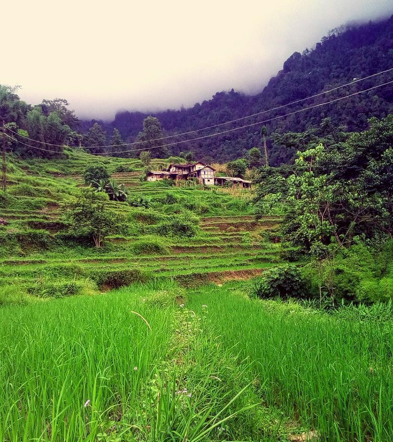 Enchanted Forest Farmstay Gangtok Exterior photo
