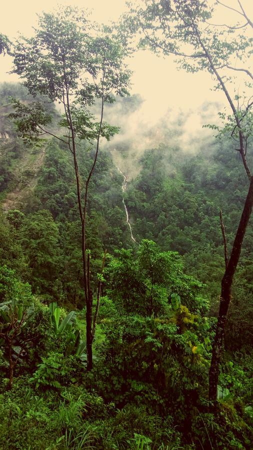 Enchanted Forest Farmstay Gangtok Exterior photo