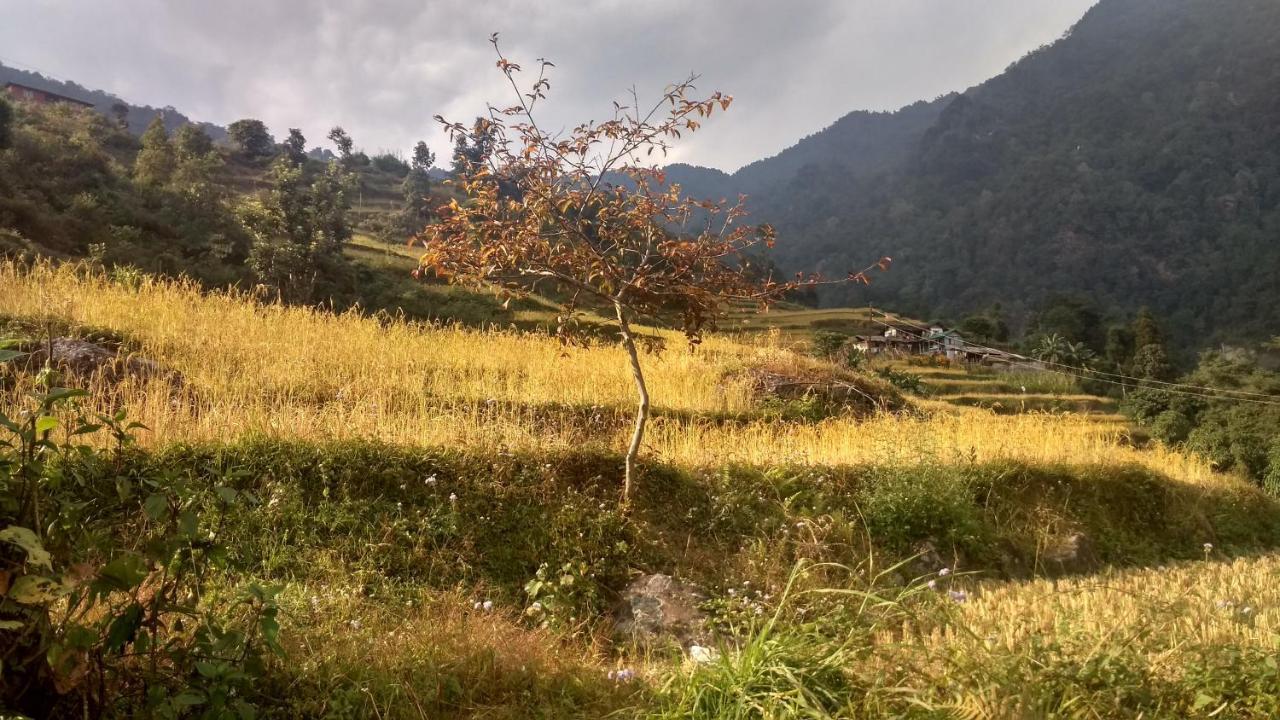 Enchanted Forest Farmstay Gangtok Exterior photo