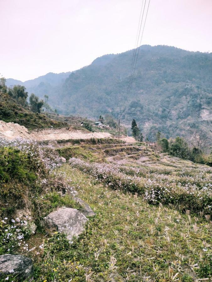 Enchanted Forest Farmstay Gangtok Exterior photo